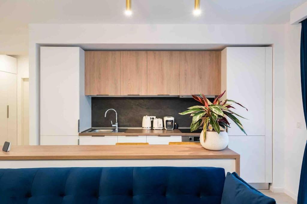 Blue Velvet Apartment บูคาเรสต์ ภายนอก รูปภาพ
